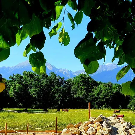 Glamping Alp Hut In Garden Park * Radovljica