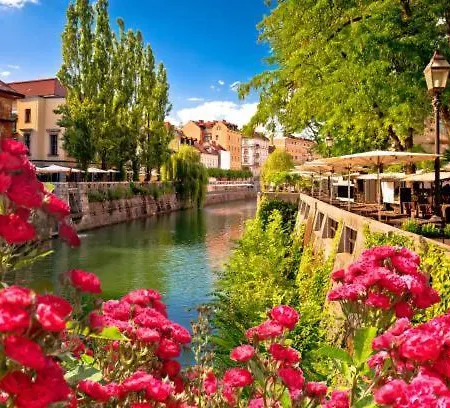 Glamping Alp Hut In Garden Park Campingplatz *