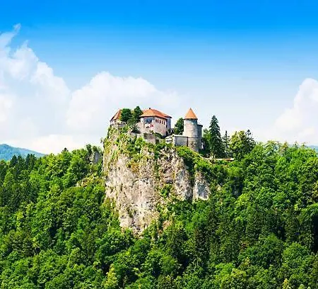 Glamping Alp Hut In Garden Park *