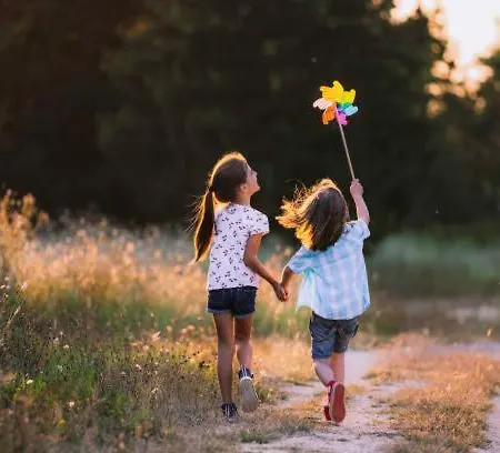 Glamping Alp Hut In Garden Park