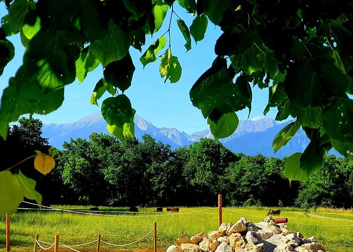 Glamping Alp Hut In Garden Park * Radovljica