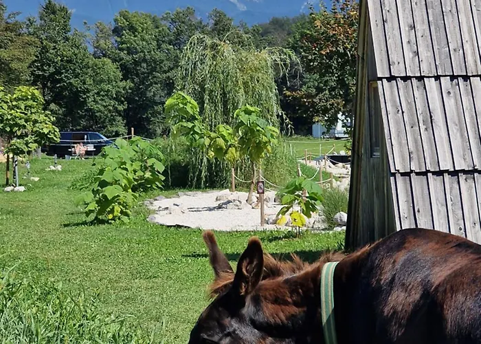Glamping Alp Hut In Garden Park Kamp alanı Radovljica