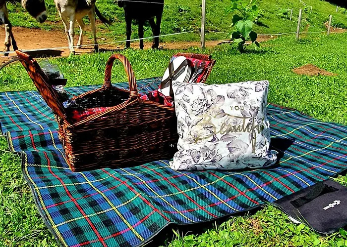 Glamping Alp Hut In Garden Park 라도블리차